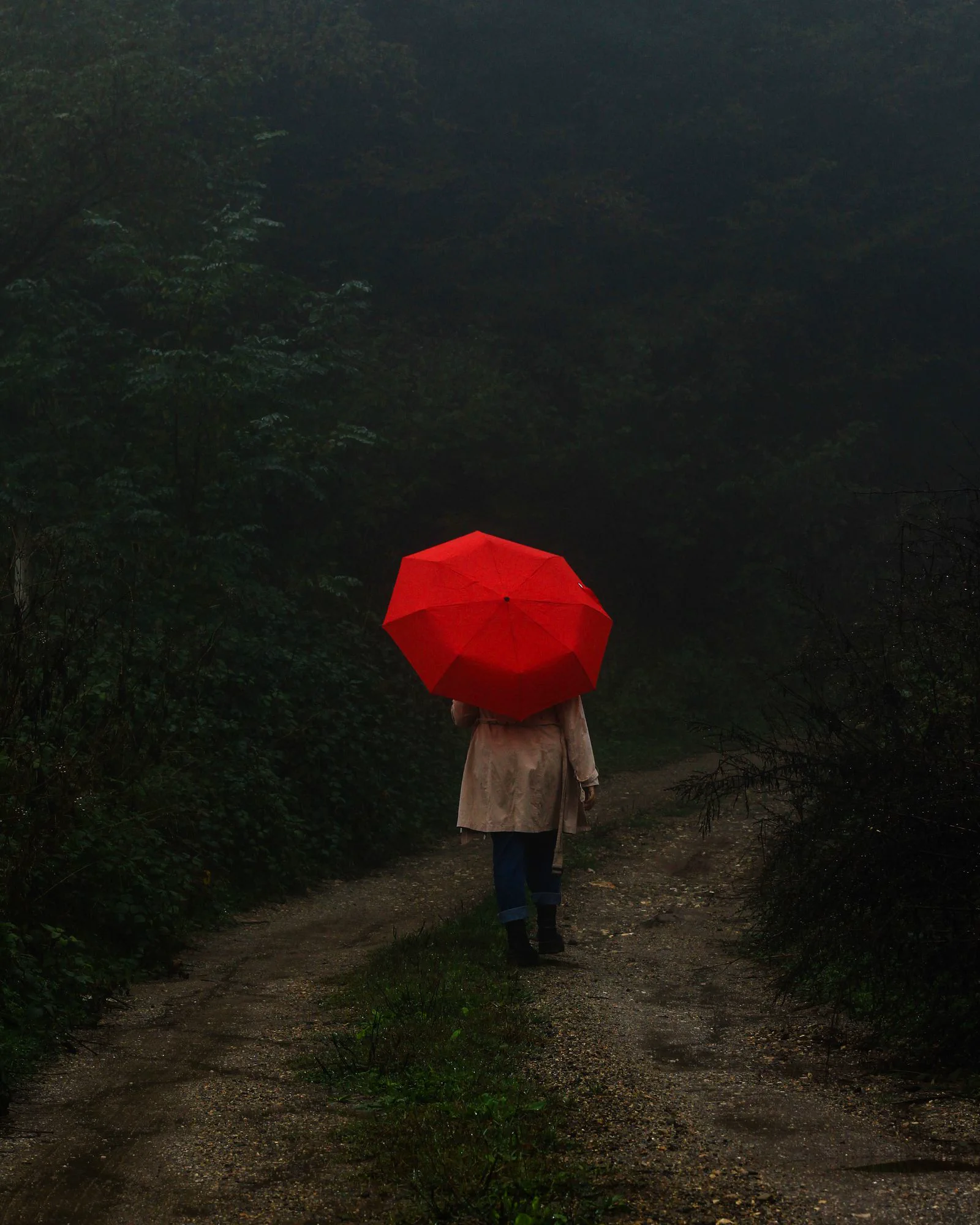 雨中森林步道 一名行人撐紅傘走在下雨的森林小徑。