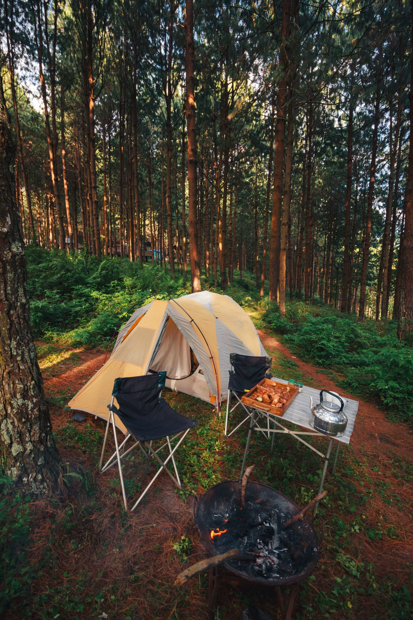 林間營地用餐區 森林營地擺著帳篷、折疊桌椅與炊煮區。