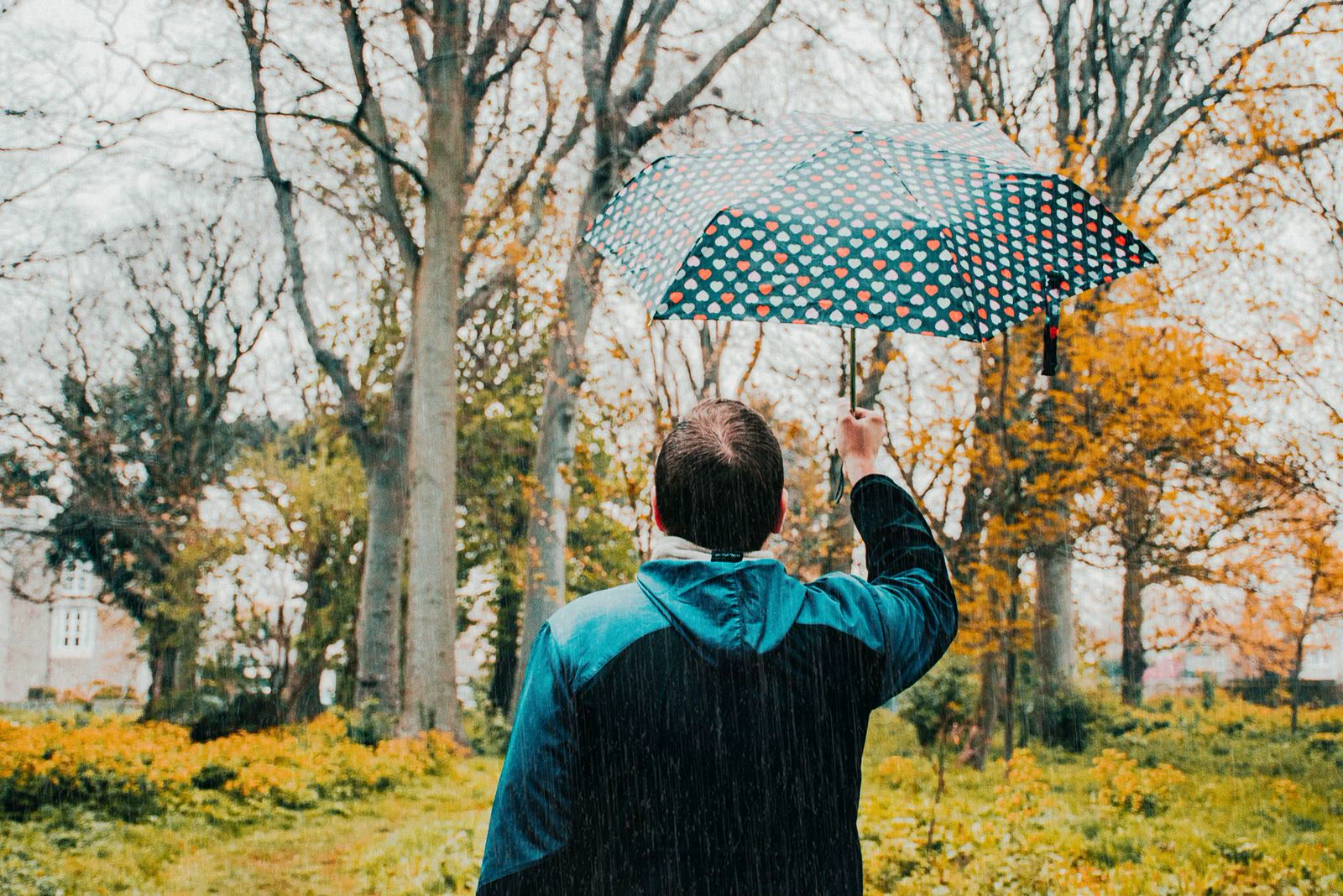 秋日撐傘行走 穿外套的人在落葉步道上撐著花色雨傘。